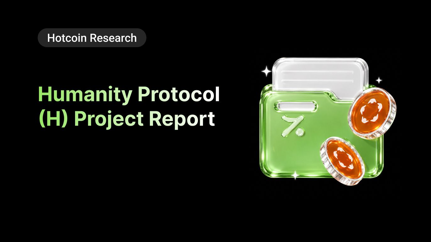 Humanity Protocol (H) Project Report